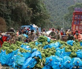 "Bát phương chi viện" cho Vũ Hán