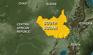 Máy bay Mỹ bị tấn công ở Nam Sudan, 4 người bị thương