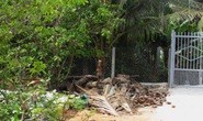 Yêu râu xanh trèo hàng rào hiếp dâm em vợ