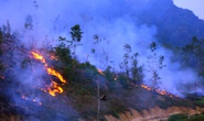 Cháy rừng cạnh khu di tích, hàng trăm người đến dập lửa