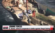 Hàn Quốc lập đội đặc nhiệm trị tàu cá Trung Quốc