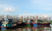 Trước bão Thần Sấm, không cho tàu tham quan Vịnh Hạ Long