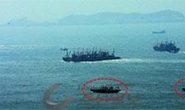 Lợi dụng vụ Sewol, tàu cá Trung Quốc tăng đánh bắt chui ở Hàn Quốc