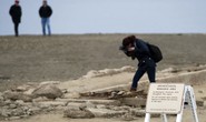 Mỹ: Thị trấn ma trồi lên từ lòng sông ở California