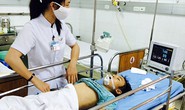 Tin thầy lang, nạn nhân bị rắn cắn nguy kịch