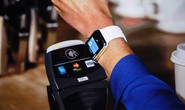 Thiết bị đeo đang tạo sức hút