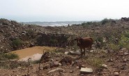 Ngổn ngang “kho báu” núi Tàu