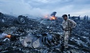 Máy bay Malaysia bị dắt vào Donetsk?
