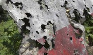 MH17 trúng “vật thể tốc độ cao”