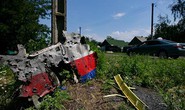 MH17 bị trúng tên lửa