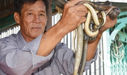 Đi chợ đặc sản mùa lũ