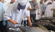 Cá ngừ đại dương Việt Nam sang Nhật