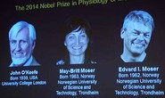Nghiên cứu về hệ thống định vị trong não được giải Nobel Y học