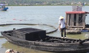 Tìm thấy thi thể ngư dân mất tích trong vụ cháy tàu cá trên biển