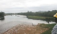 Trục lợi từ dịch bệnh