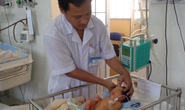 Dòi và kiến tấn công bé sơ sinh bị bỏ rơi