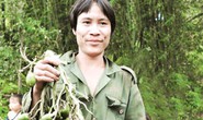 “Người rừng” chuẩn bị đón Tết