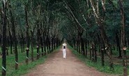 5 tháng, trấn lột 120 triệu đồng của một học sinh