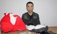 Giấu 1.500 gram ma túy đá trong thú bông mang từ Trung Quốc về