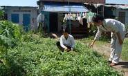 Cảm ơn chủ nhà trọ