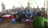 Phá trường gà núp bóng trang trại