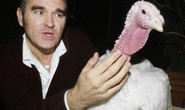 Morrissey: “Không khác biệt giữa ăn động vật và ấu dâm”