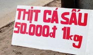 Tràn lan thịt cá sấu lề đường