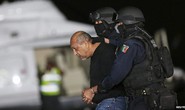 Tổng thống Mexico mừng vì bắt được “vua ma túy”