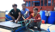 Thêm một tàu cá Quảng Ngãi bị tàu Trung Quốc đánh, cướp