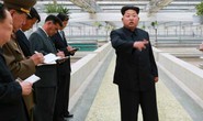 Ông Kim Jong-un xử tử quản lý trang trại nuôi rùa