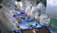 FTA Việt Nam - EU sắp về đích
