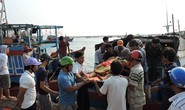Tàu cá bị tông, một ngư dân bị thương ở Hoàng Sa