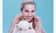 Miley Cyrus gây sốc khi khỏa thân bên lợn cưng