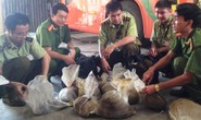 Kiểm tra xe khách, ra nội tạng thối và động vật hoang dã
