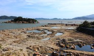 Xót cho vịnh Nha Trang!