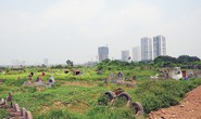 Nhiều khu đất vàng ven Hồ Tây bị bỏ“hoang phí”