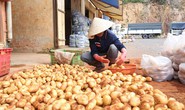 Khó cấm cửa khoai tây Trung Quốc