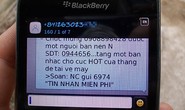 Phạt 2 doanh nghiệp phát tán tin nhắn rác 160 triệu đồng