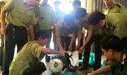 Phát hiện xe khách chở nội tạng thối, động vật hoang dã