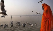 Ấn Độ: Hơn 100 thi thể nổi trên sông Hằng