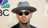 Ca sĩ Chris Brown van nài được vào Úc