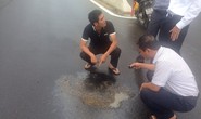 Hoá chất phá hoại Quốc lộ 1 là dầu diezen và nhựa thông