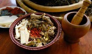 Thuốc nam chữa sốt xuất huyết