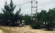 Nửa đêm trèo lên cột điện, bị điện giật chết