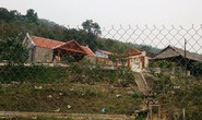 Dê hộ nghèo “lạc” vào trang trại bí thư huyện