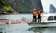 Đắm tàu du lịch có 48 khách trên Vịnh Hạ Long