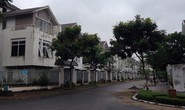 Biệt thự triệu đô bỏ hoang để... nuôi gà