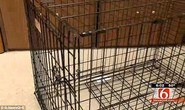 Nhật Bản: Bạo hành con 3 tuổi đến chết vì không nghe lời