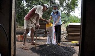 Chịu hết nổi muỗi, bọ đậu đen