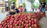 Nông sản Việt bị tiếng xấu
